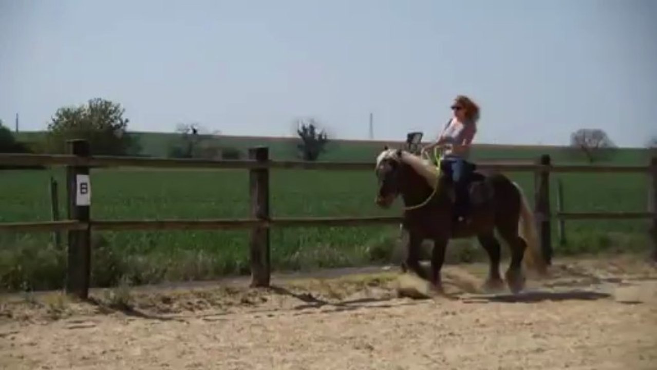 adeline et vasco 2