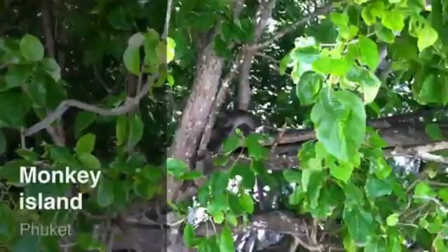 Phuket Balayı Turları