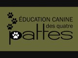 Éducateur canin: Les 10 races de chiens les plus populaires au Canada.