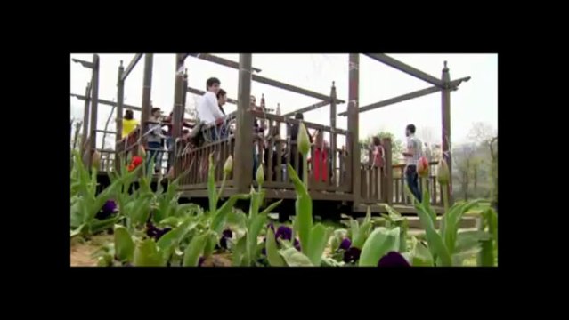 Aynur Haşhaş - Ah Ana Beni Eversene