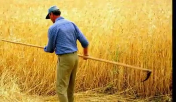 YOLUM CEBECİYE GARDAŞ ( BESTE )