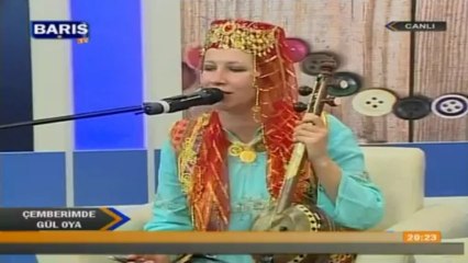 04 emine balhan gökte yıldız ellidir 25.04.2013 çemberimde gül oya