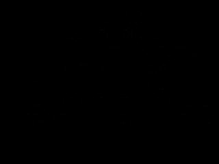 Video de la prox Fiesta en el Pub Es Born (Inca)Mallorca Sacri Fan Dancer os espera