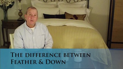 Down vs. Feather: Key Differences for Better Bedding Choices 🛏️