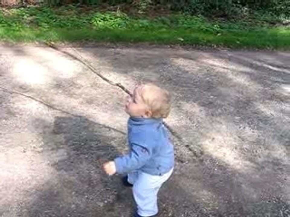 Le baton