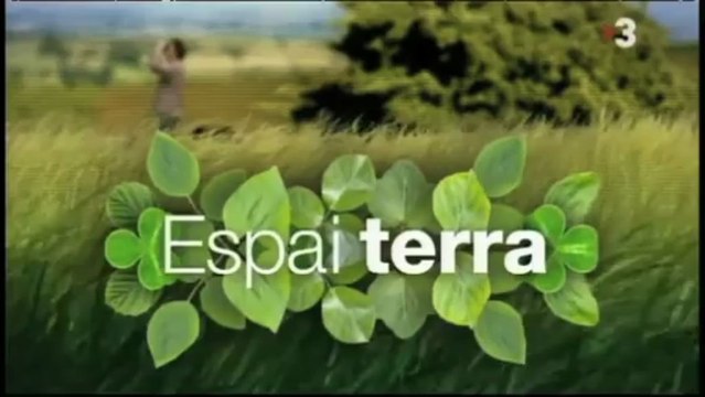 TV3 - Alguna pregunta més? APM - L'ensurt de Tomàs Molina