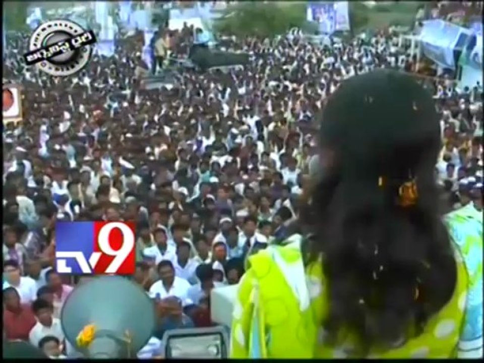 Political parties strategy for 2014 elections - Journalist Diary - Part 1