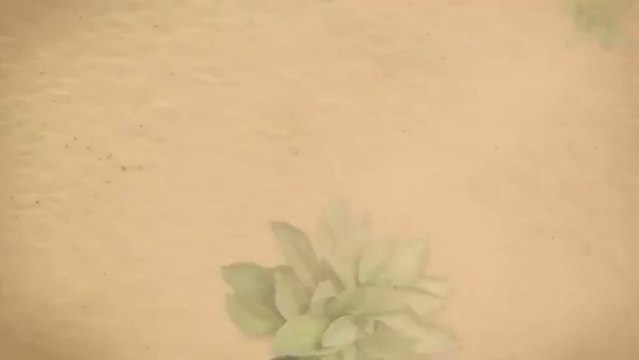 Lee Werner Excavating - (815) 469-9299