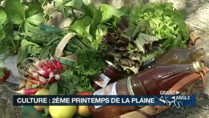 Grand Angle - Jeudi 25 avril