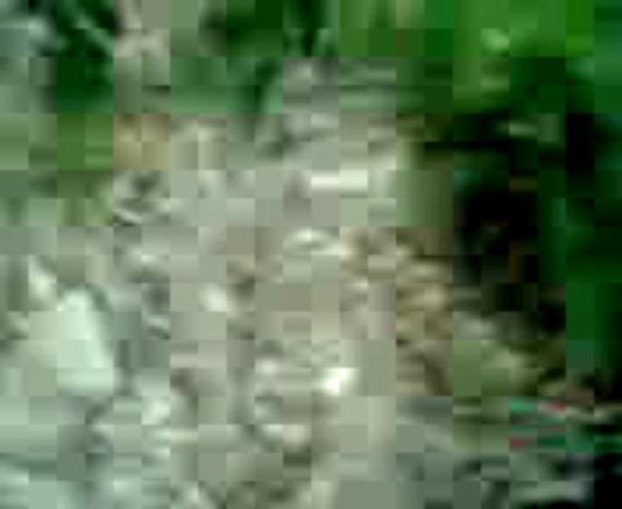 parodie slender