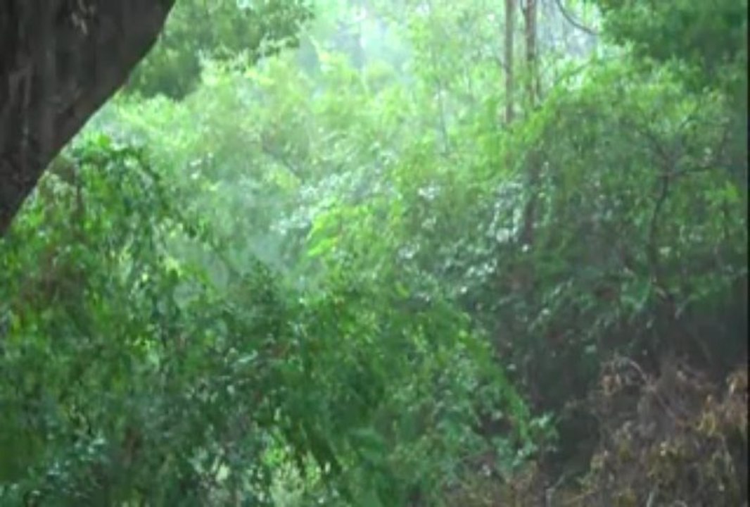 Heavy Rain & Thunder (For Relaxation)