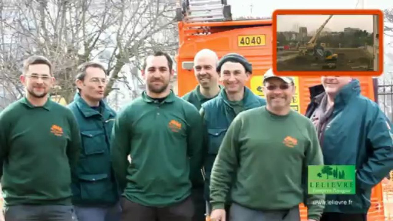 Plantations gros arbres 20 M de haut