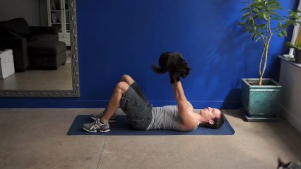 Faire de la musculation avec ses chats