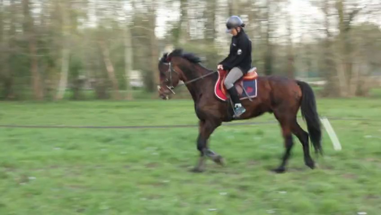 Souci 25 AVRIL 2013