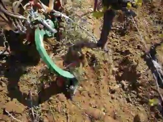 Travail sous le cep de vigne,avec des décavaillonneuses hydrauliques Aguilar