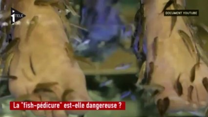 La "fish pédicure" dangereuse pour la santé?