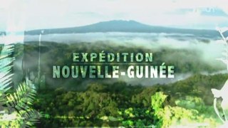Expédition Nouvelle-Guinée (2013)