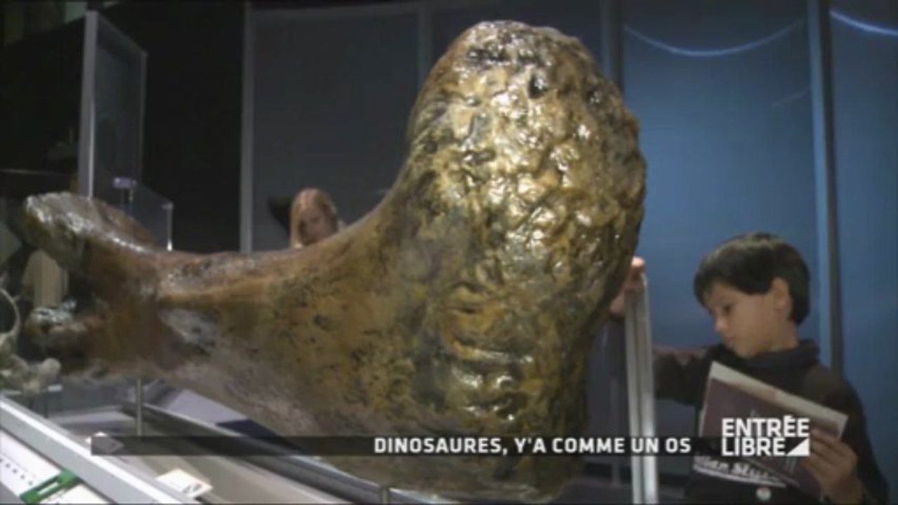 PASTILLE DINOSAURE
