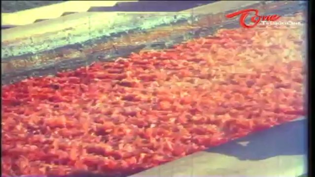 Iddaru Iddare Songs - Aaku Meeda - Manjula - Sobhan Babu