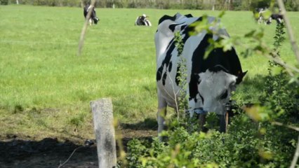 Directive nitrates - Visite préfet 25avril13