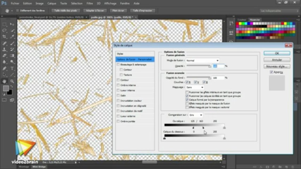 Photoshop CS6 : Détourage de la paille