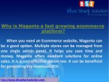Why Magento is a fast growing ecommerce platform?