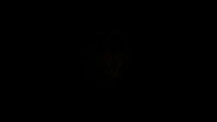 Dragon's Crown - L'elfe
