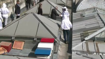 Des abeilles sur les toits de l'Assemblée nationale