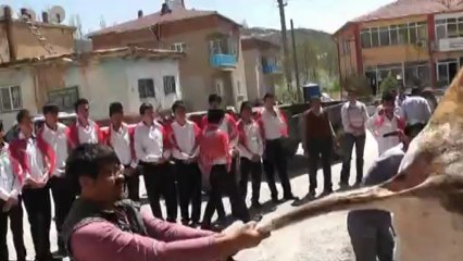 Taşoluk Kasabasında Asker Adayları İçin Kurban Kesildi.