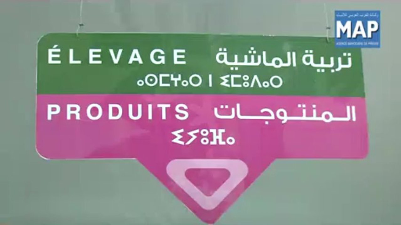 تربية المواشي القطب الأكثر شعبية