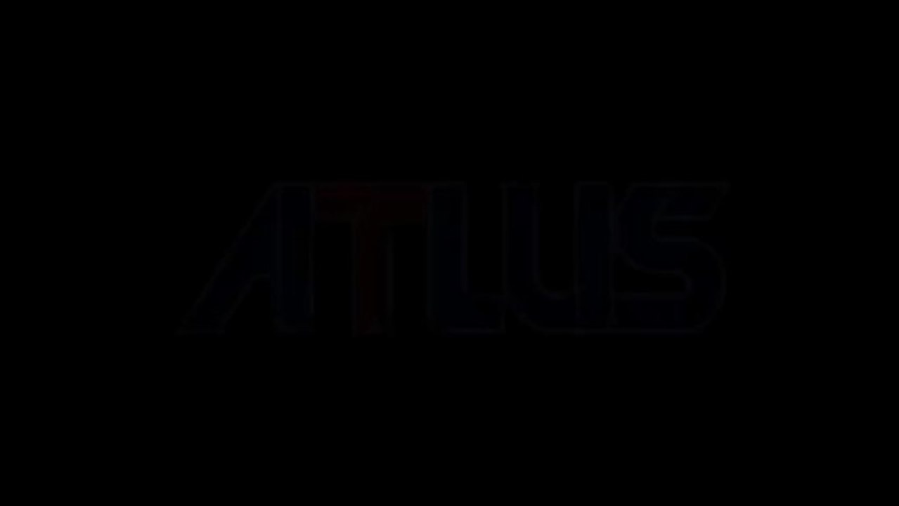 Shin Megami Tensei Devil Survivor Rom Download DS