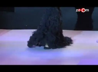 Sonakshi Sinha rejects free money, & focuses on movies