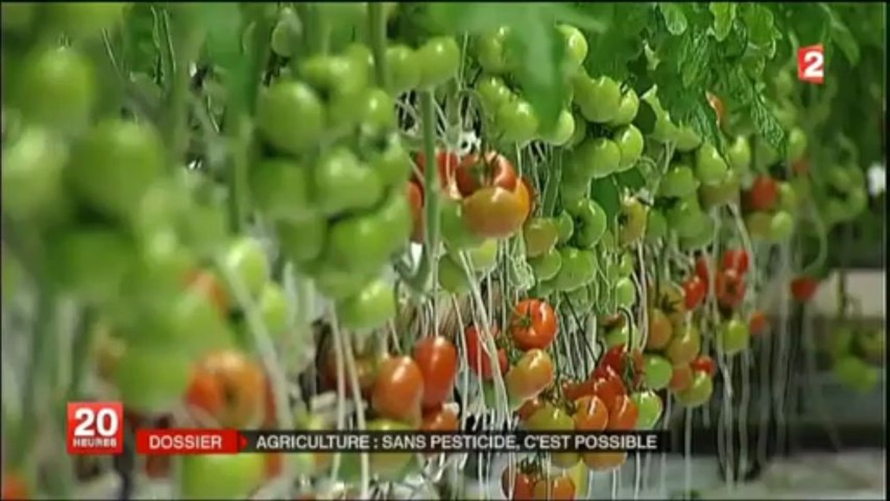 Agriculture_sans_pesticide_c_est_possible_2013_04_15