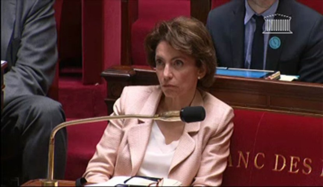 PPL Léonetti : Intervention de Philippe Gosselin dans la discussion générale - 25 avril 2013