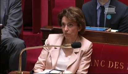 PPL Léonetti : Intervention de Philippe Gosselin dans la discussion générale - 25 avril 2013