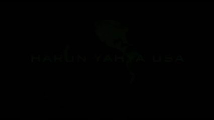 Harun Yahya Usa Conferences