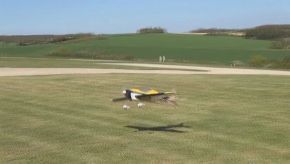 Fusion Donuts Model - 21 Avril 2013