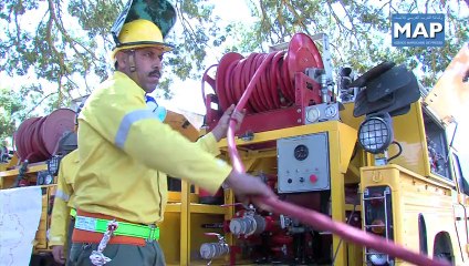 La Reconstitution de la fôret Maâmora