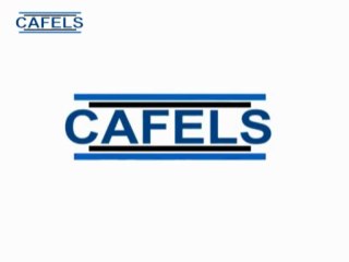 Advanced English List 1 Word Casualities