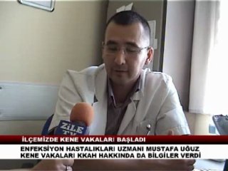 ZİLE'DE KENE VAKALARI BAŞLADI