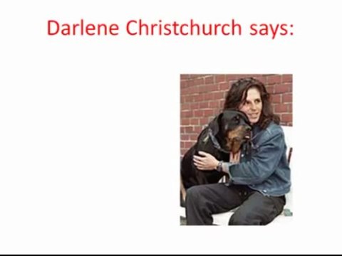 The Shocking Truth About Commercial Dog Food Revealed!