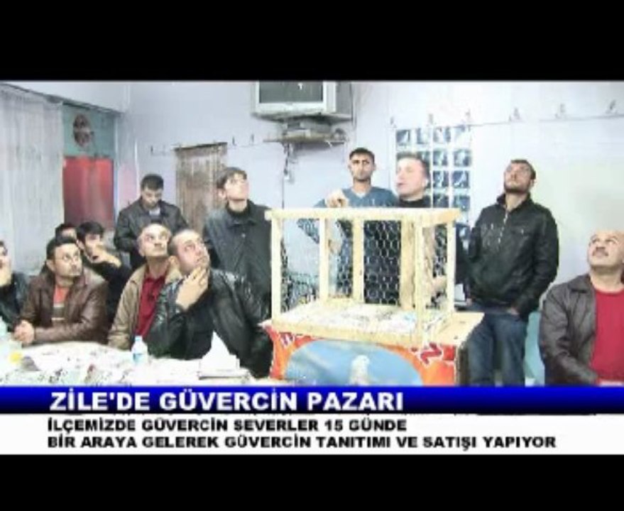 ZİLE'DE GÜVERCİN PAZARI