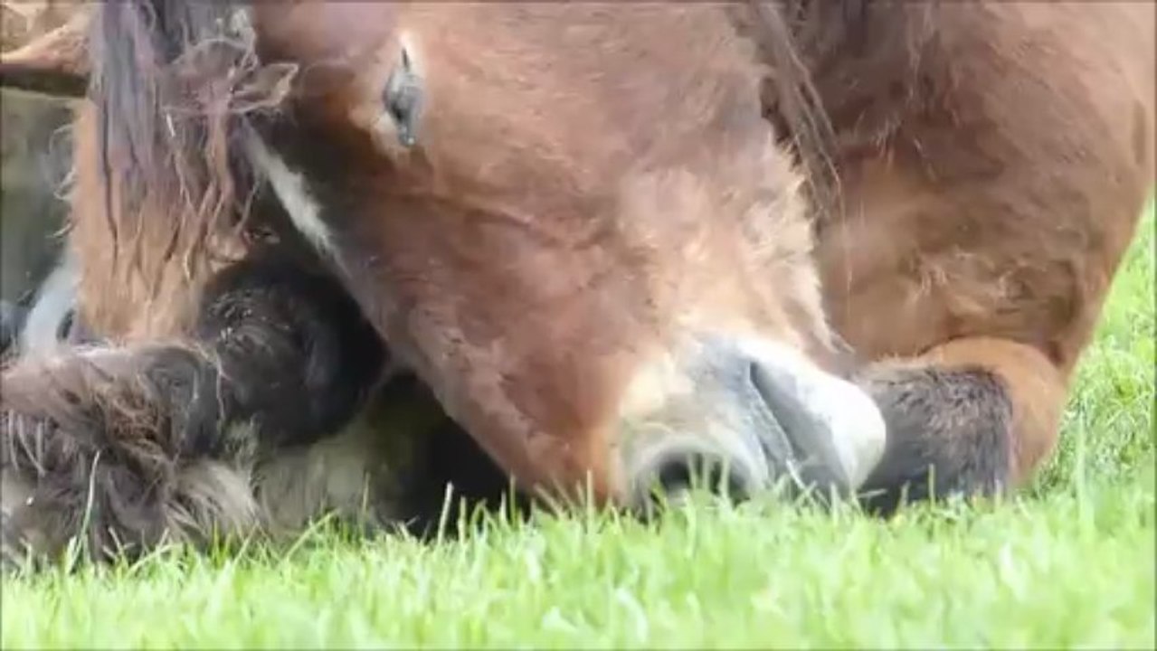 Une aprem au parc