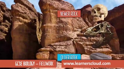 Fieldwork Techniques in GCSE Biology