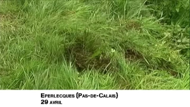 Deux frères percutés par deux voitures dans le Pas-de-Calais