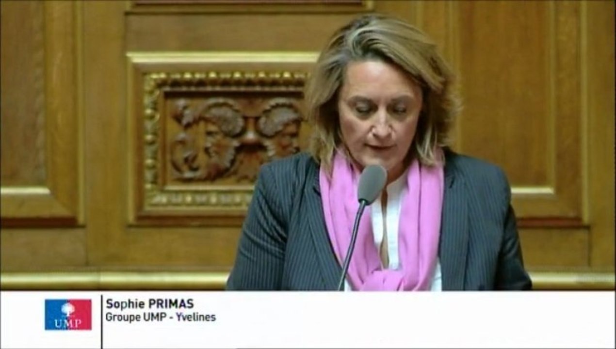 Sophie Primas, Sénateur des Yvelines : Financement du Grand Paris des Transports