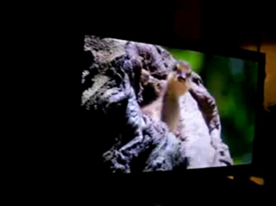 Sony KDL-46XBR10 46 inch Full HD 1080p 240Hz LED Flat Panel HDTV