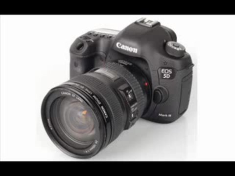 Canon EOS 5D 12.8 MP Digital SLR Camera with EF 24-105mm f/4 L IS USM Lens
