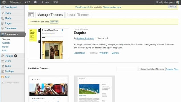 How to Install or Setup Wordpress Site, Themes, Plugin Properly