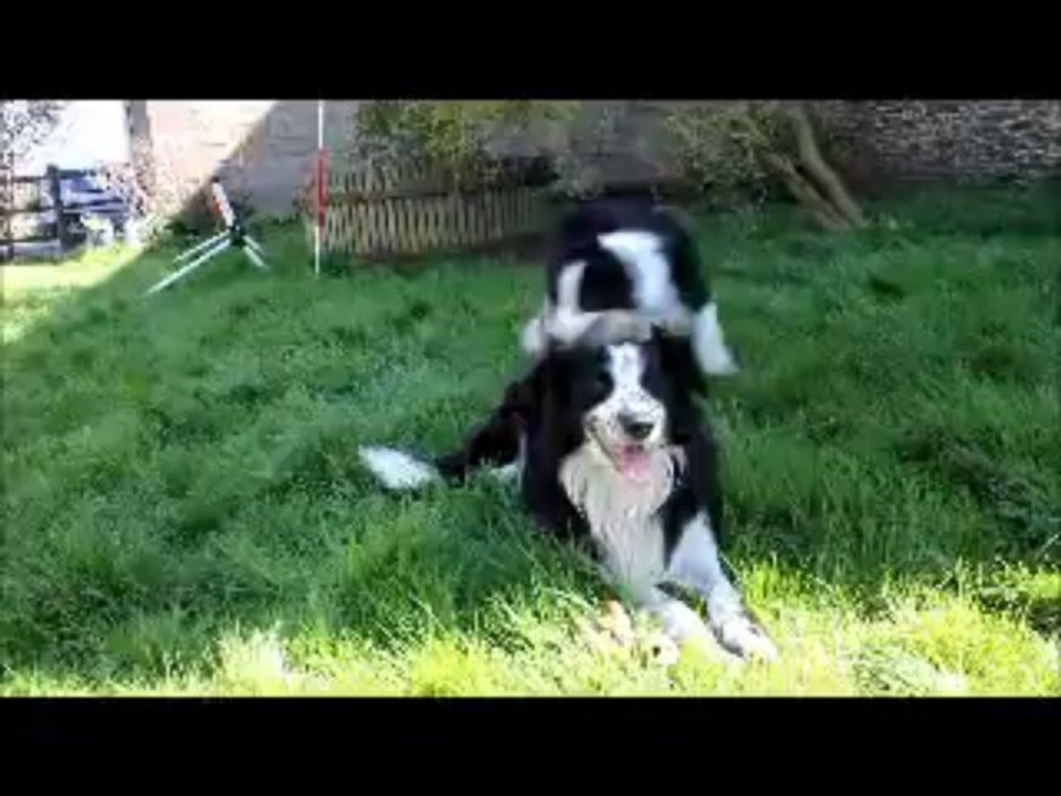 Baya & Bouba 04-2013